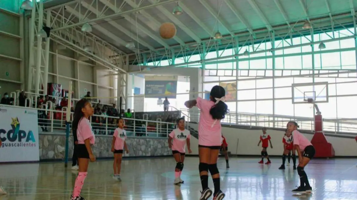 DEP02-IJGR-COPA AGS-01
