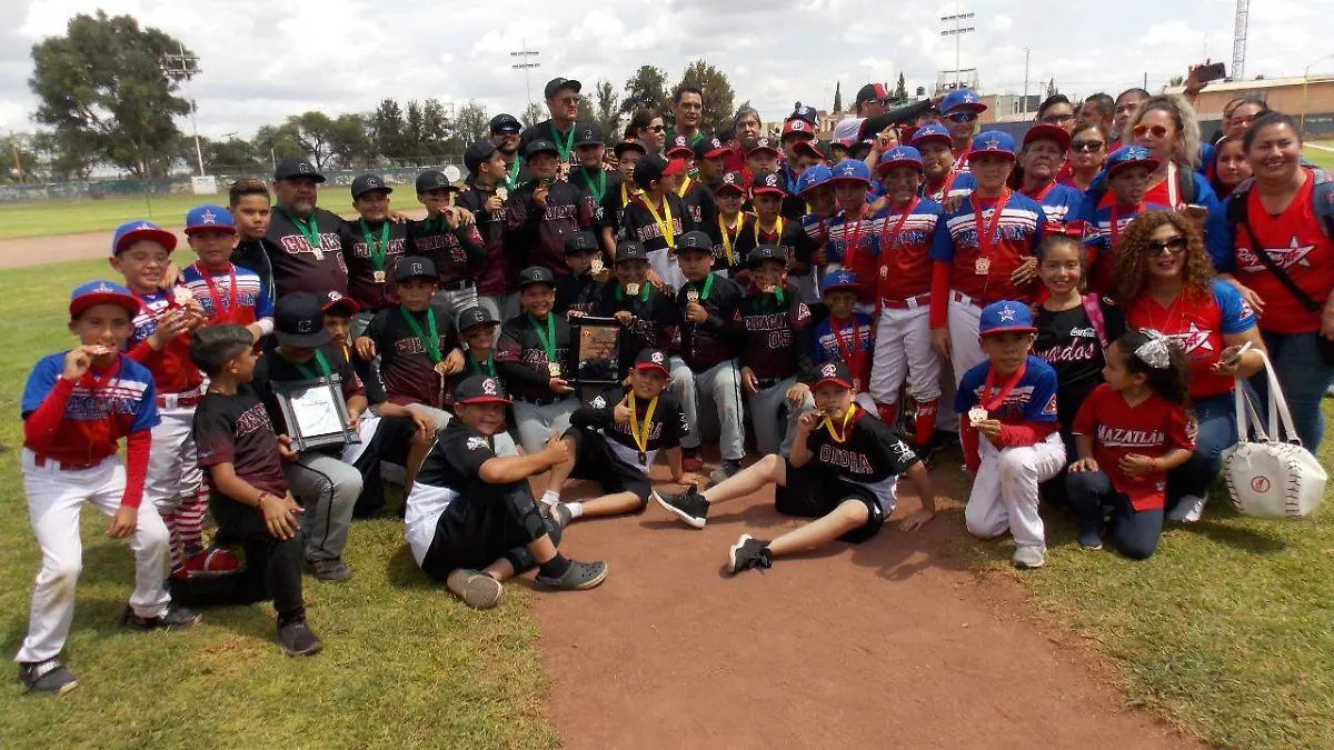 WhatsApp Image 2019-07-27 at 17.53.54