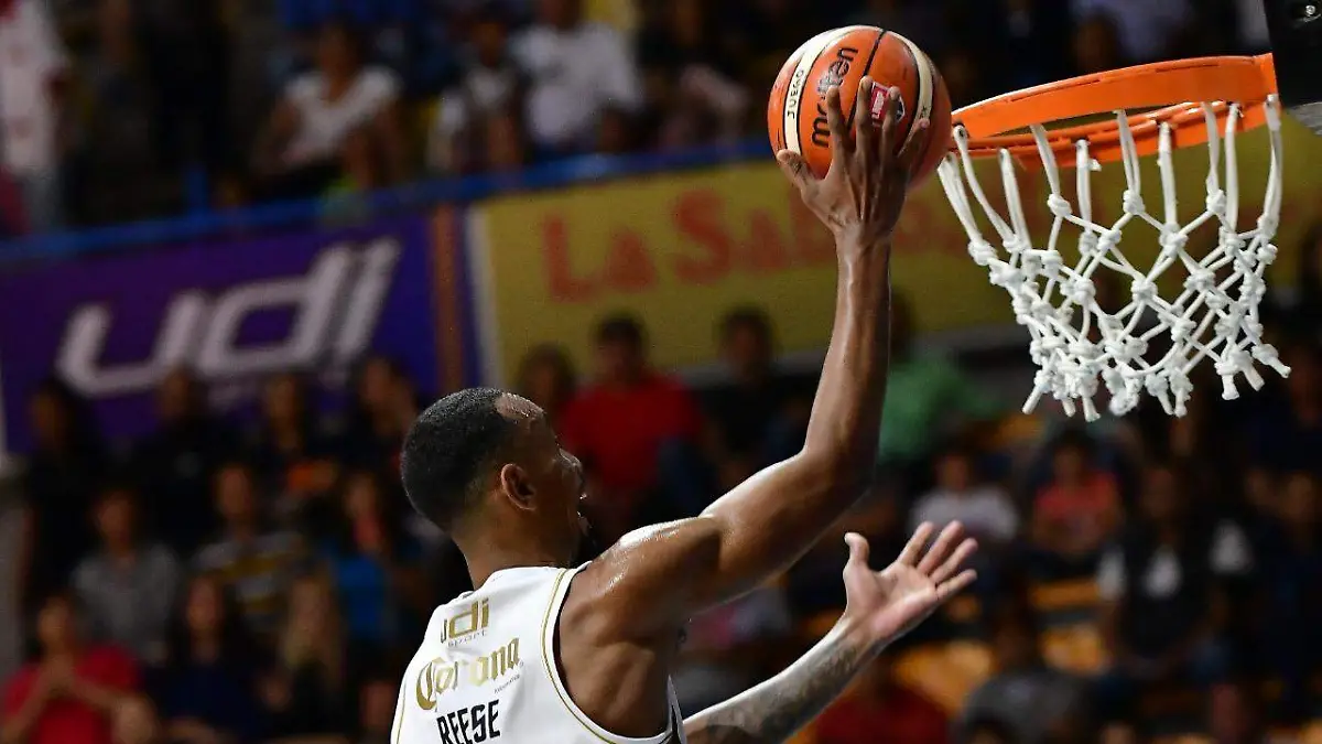 WhatsApp Image 2019-11-12 at 15.52.11