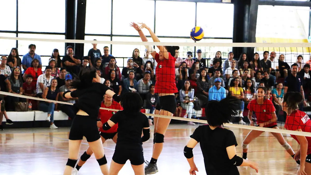 NOTA 71-IJGR-DEPORTES MITAD DE AÑO-01