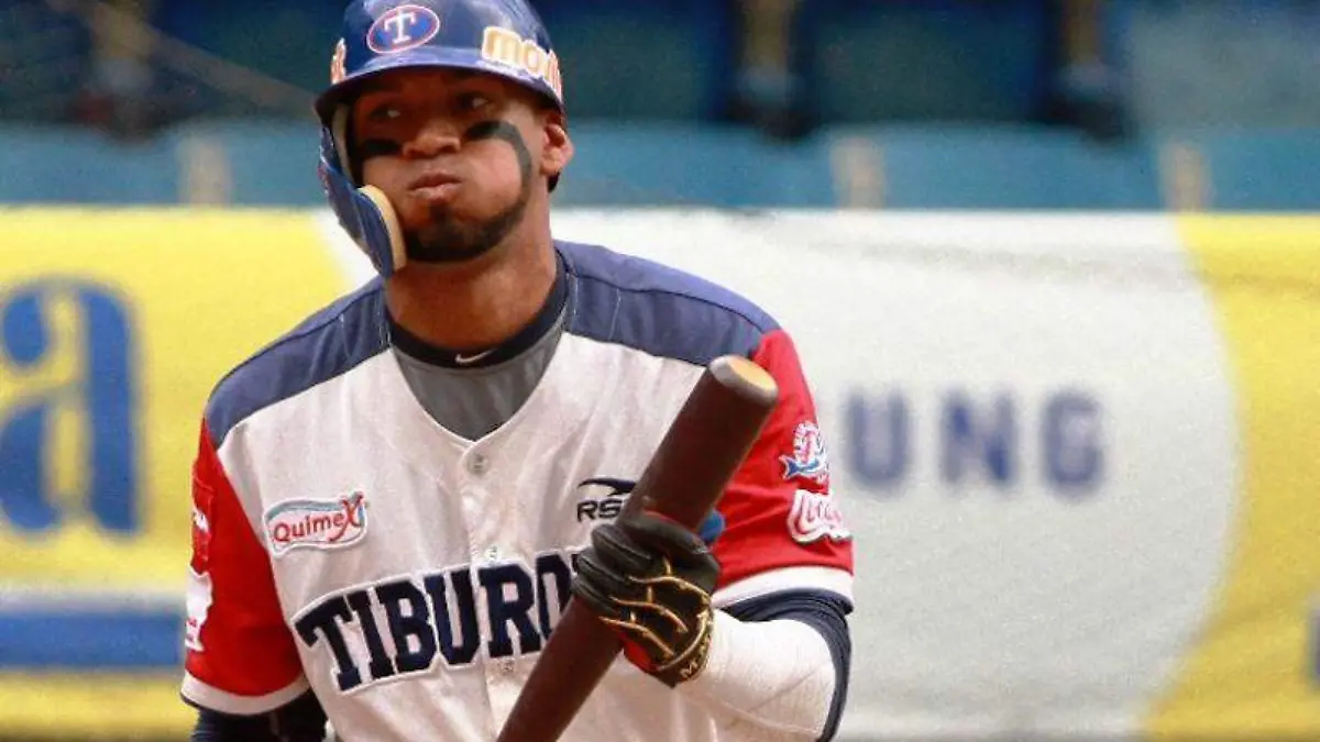 WhatsApp Image 2019-07-30 at 15.14.22