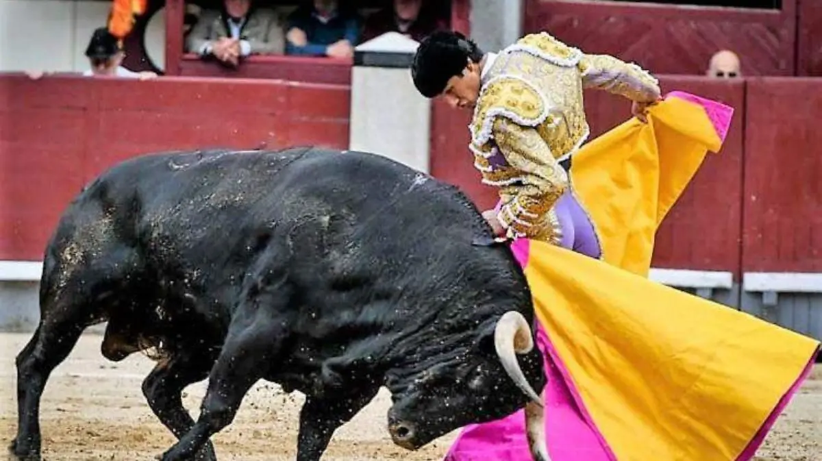 WhatsApp Image 2019-05-31 at 16.45.06