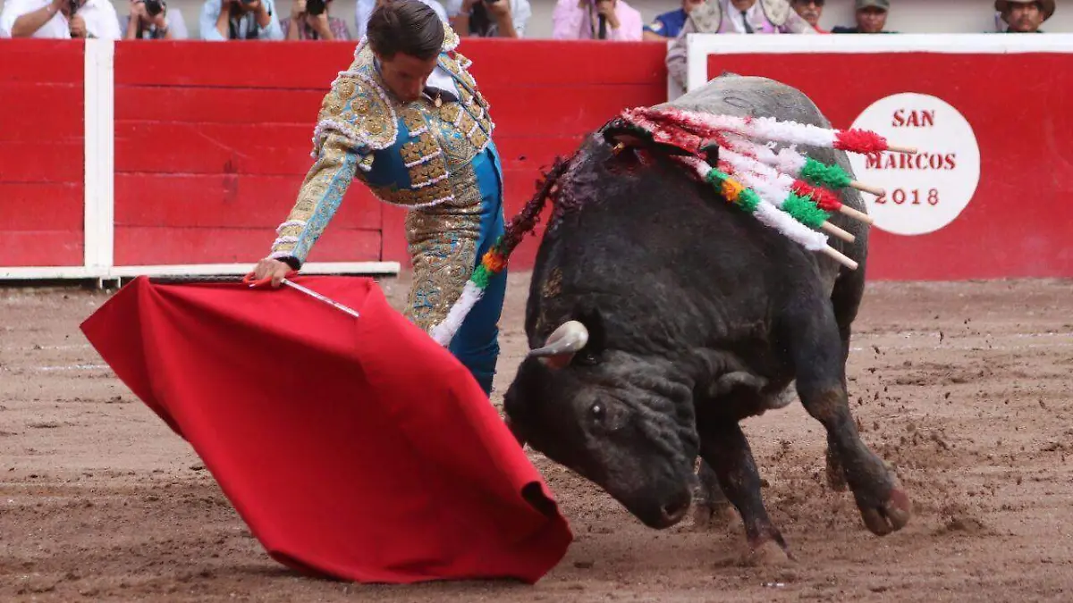 Toros 2