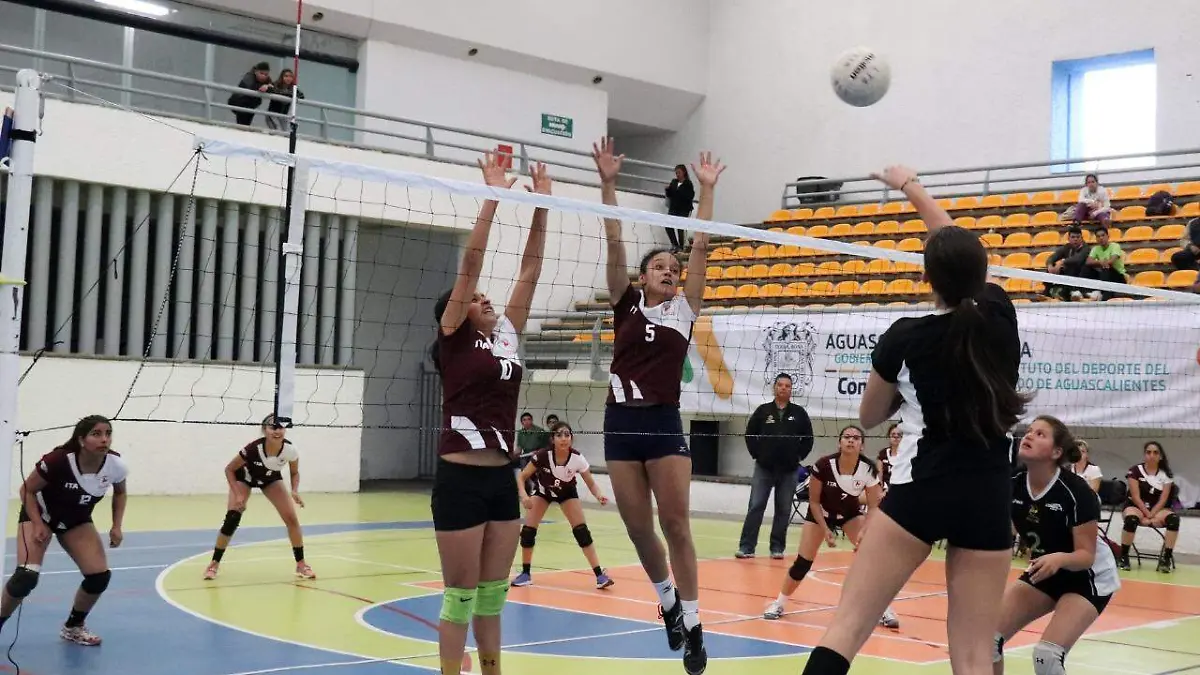 WhatsApp Image 2020-03-17 at 16.09.49