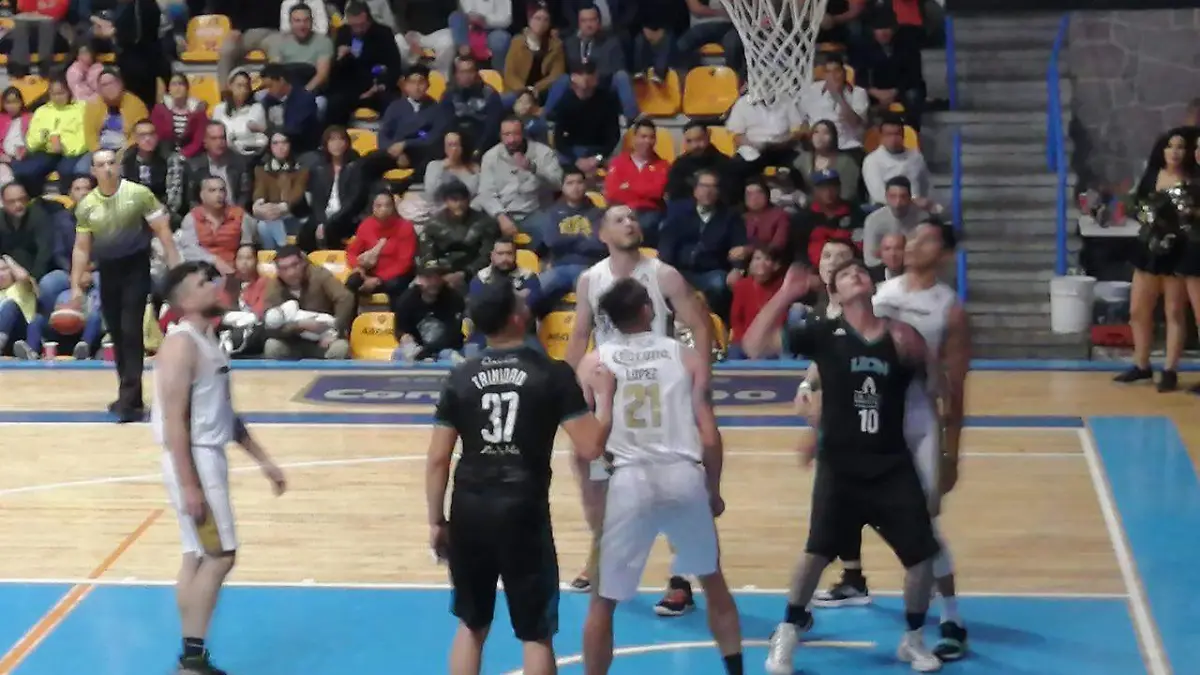 Panteras vs Abejas Diciembre 2019 (2)