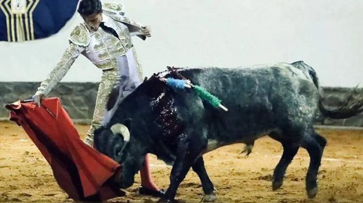 WhatsApp Image 2019-12-07 at 2.38.29 PM