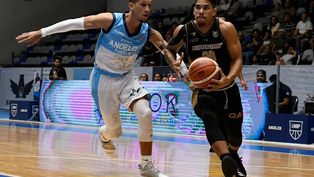 WhatsApp Image 2019-10-11 at 17.42.40