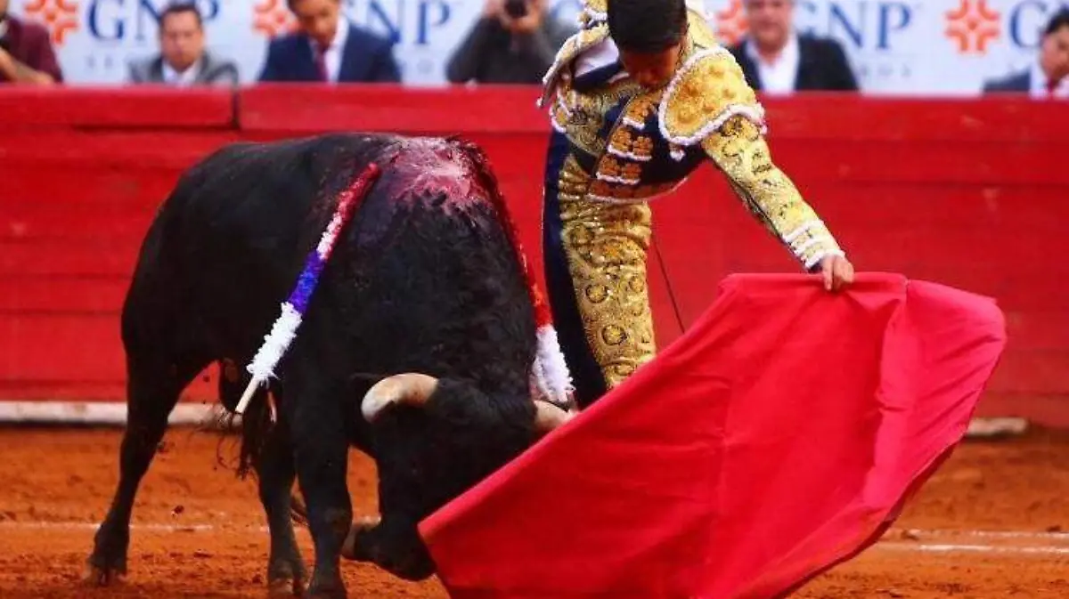 WhatsApp Image 2019-11-04 at 15.04.14