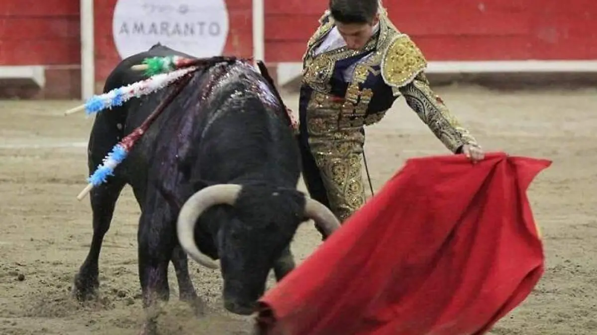 WhatsApp Image 2019-12-25 at 15.31.20