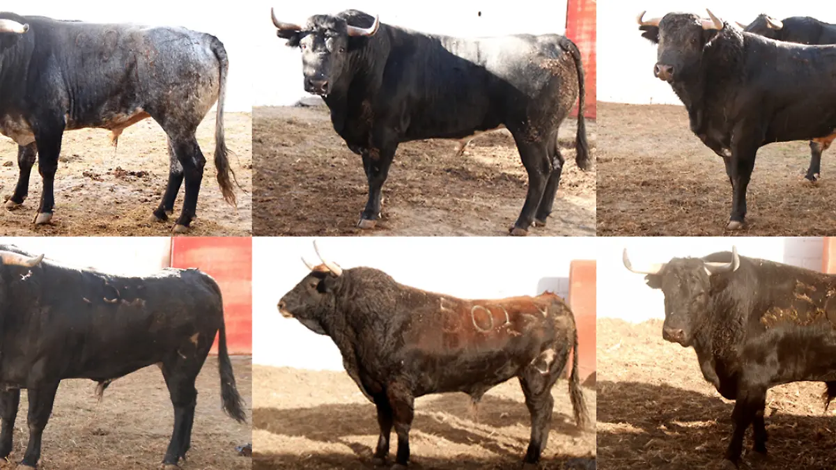 Captura de Pantalla 2019-12-05 a la(s) 17.19.44