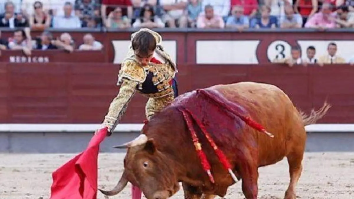 WhatsApp Image 2019-09-01 at 15.13.38