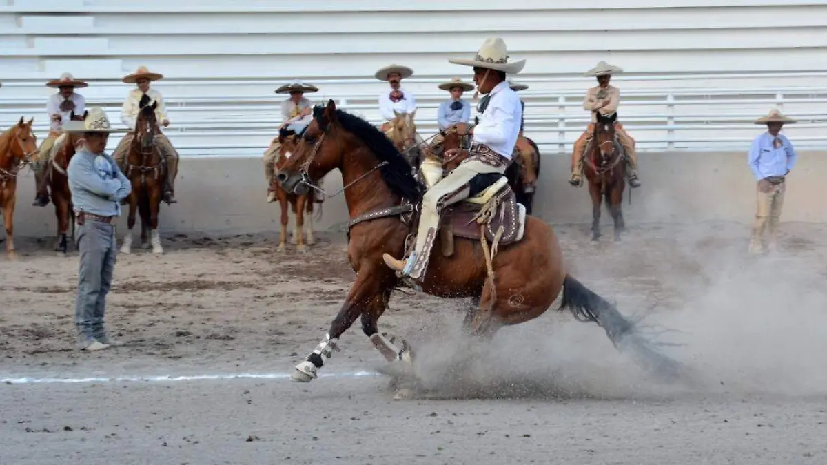 WhatsApp Image 2019-10-30 at 5.31.00 PM