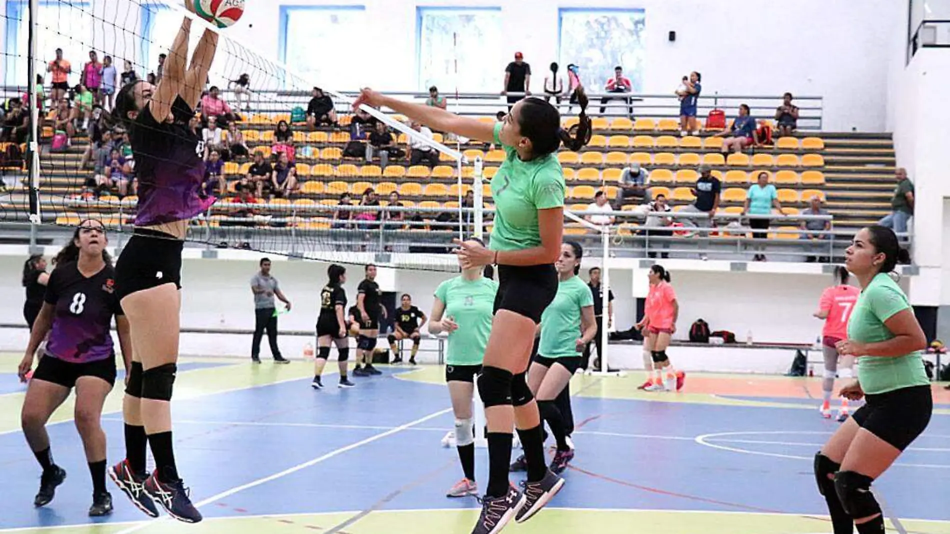 Voleibol-Voleibolistas-Mujeres