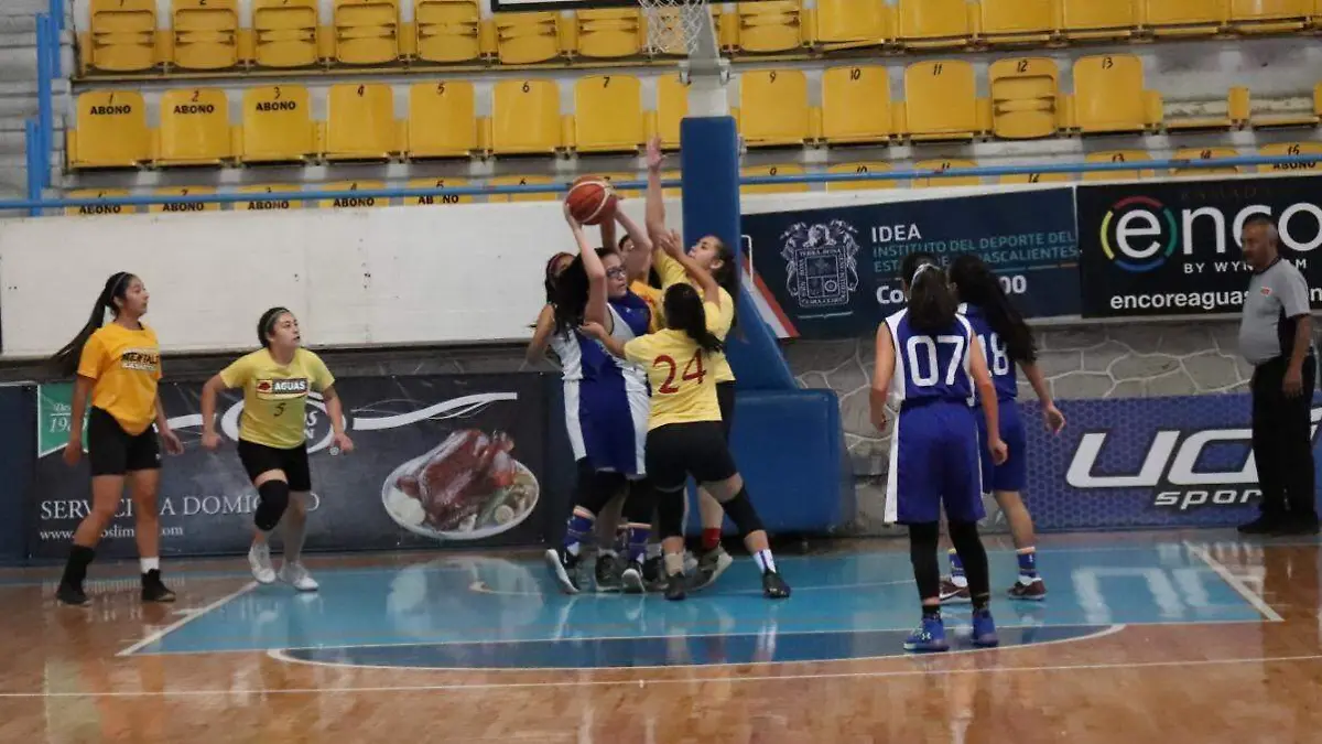 WhatsApp Image 2019-03-09 at 19.00.27