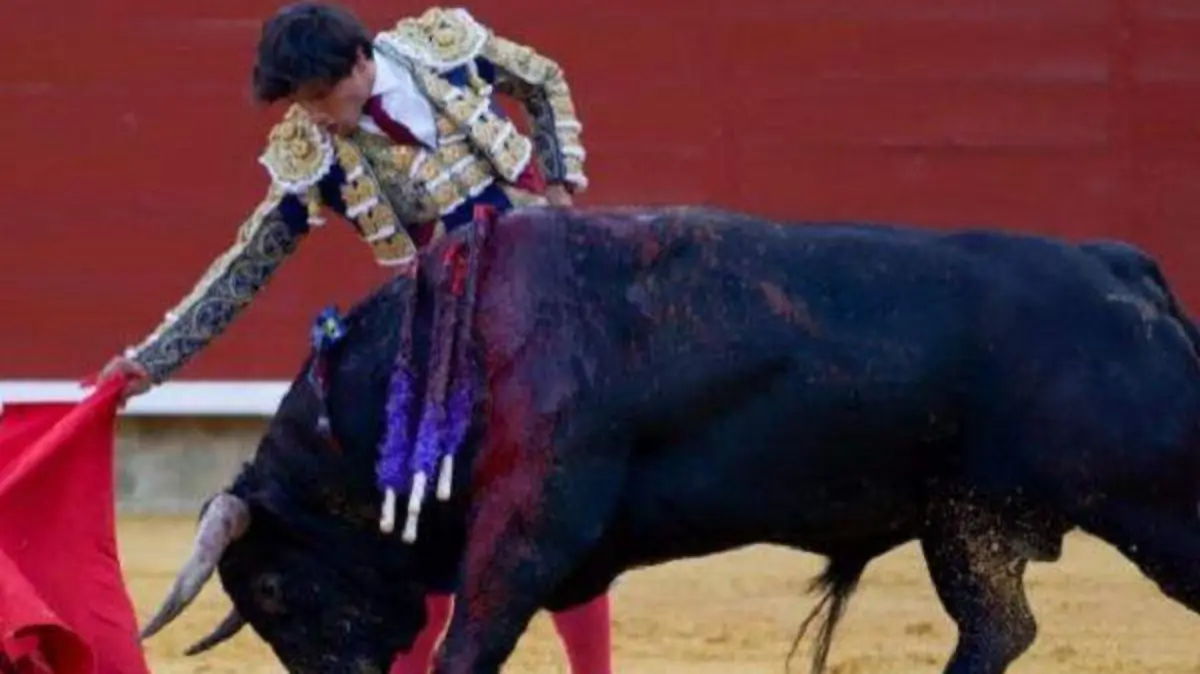 WhatsApp Image 2019-09-04 at 15.38.39