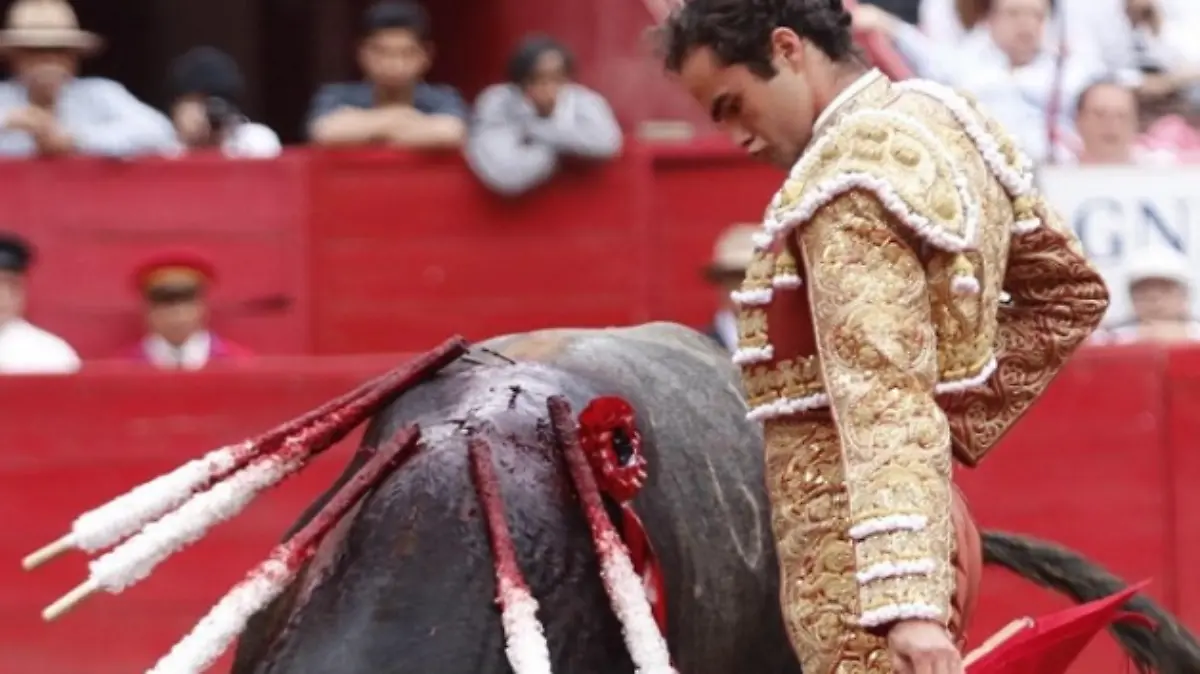 Captura de Pantalla 2019-11-25 a la(s) 15.01.30