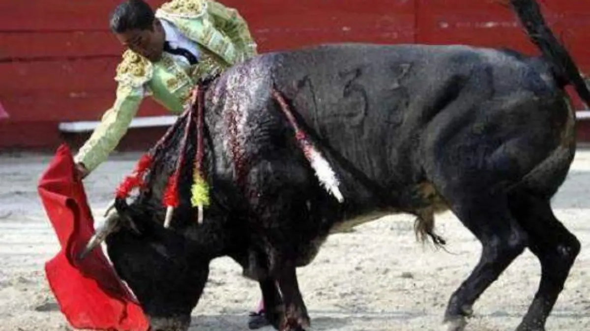 WhatsApp Image 2019-12-11 at 14.57.49