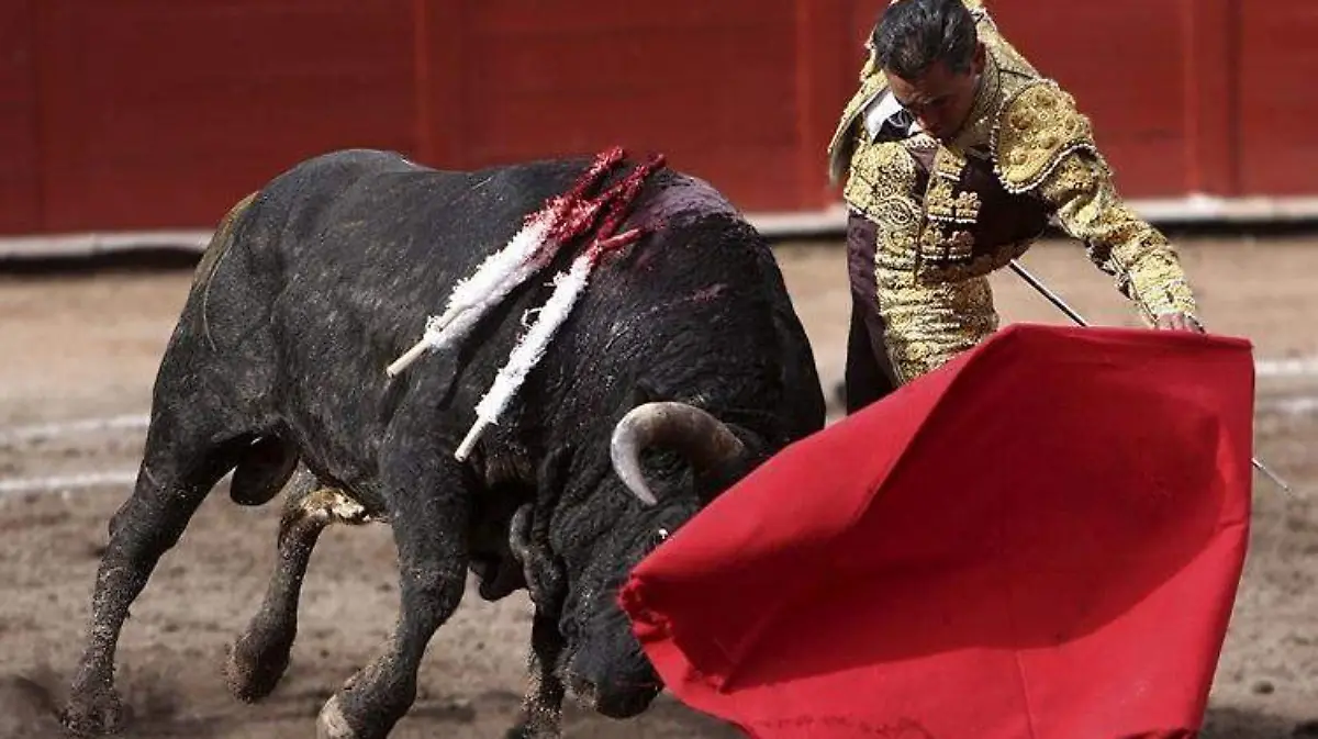 WhatsApp Image 2020-01-01 at 15.42.29