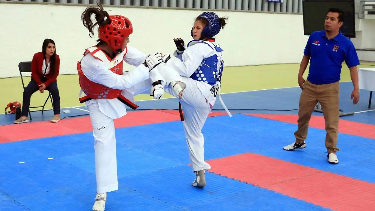 WhatsApp Image 2019-11-07 at 15.07.24