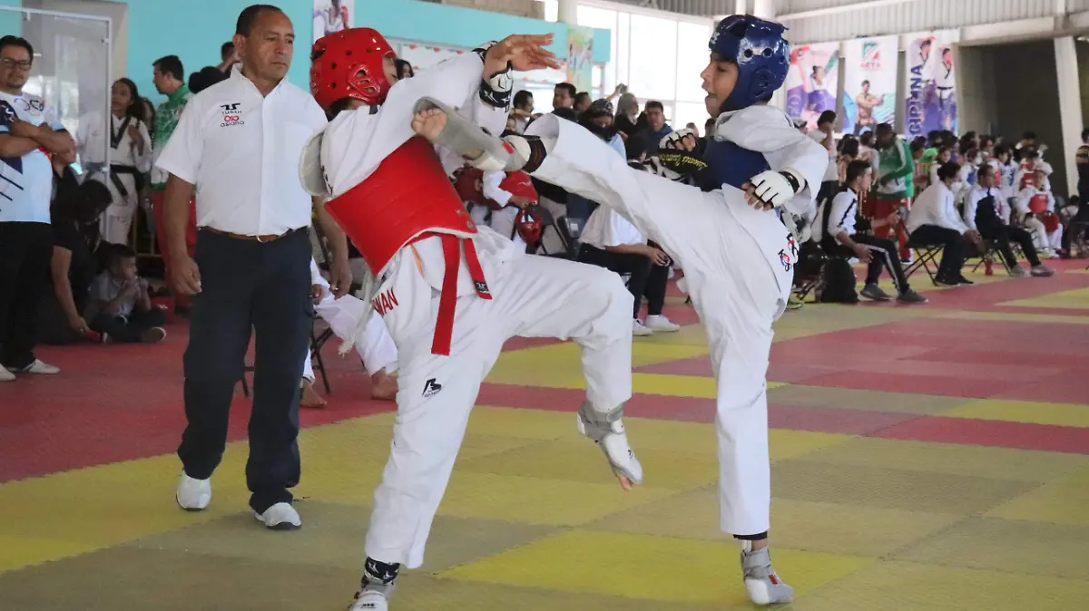 DEP01-IJGR-FESTIVAL-01