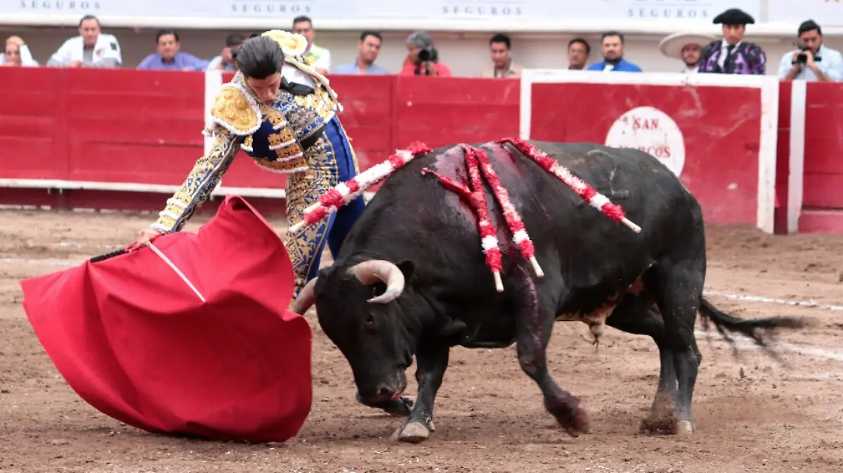 Captura de pantalla 2019-05-13 a la(s) 18.35.36