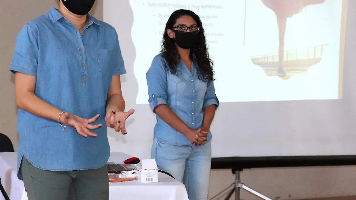 Capacitación online IDEA 3