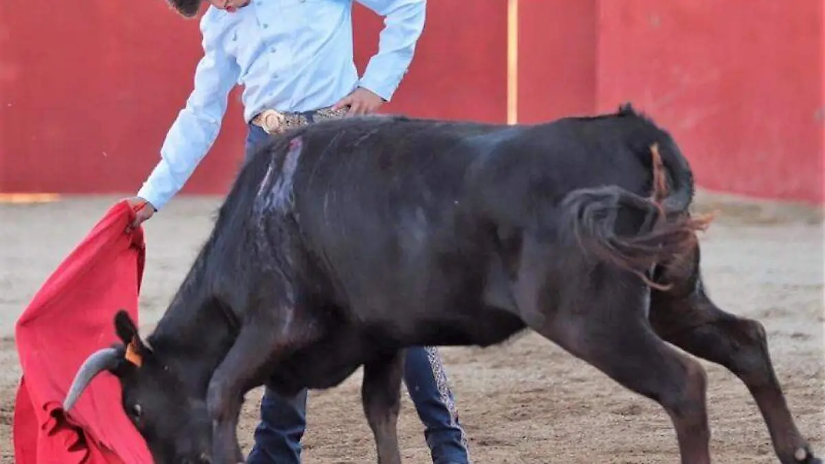 WhatsApp Image 2019-06-15 at 15.28.12