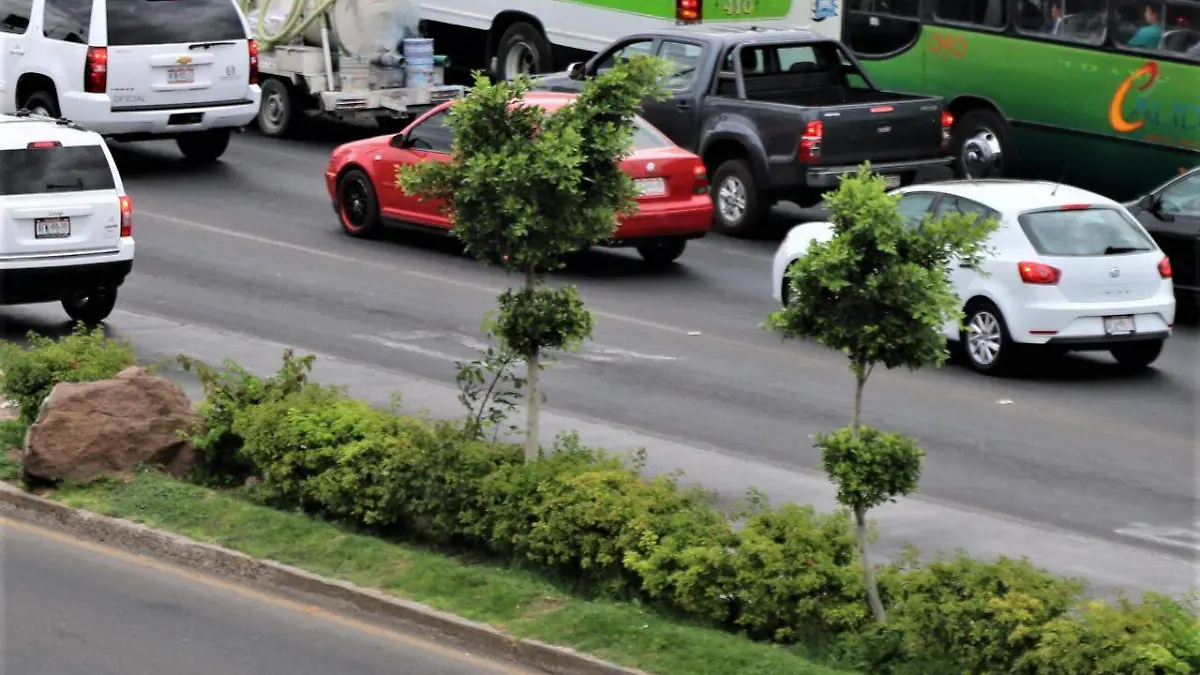 WhatsApp Image 2018-06-13 at 5.00.56 PM