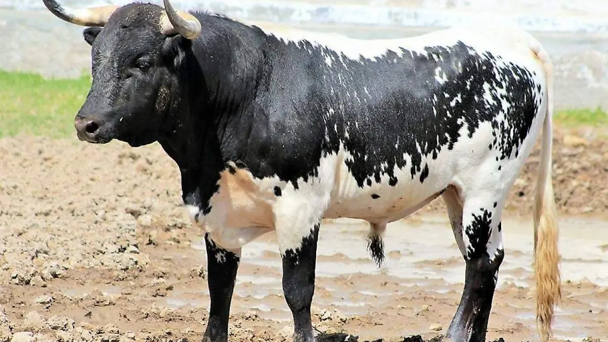 WhatsApp Image 2018-07-04 at 3.33.57 PM