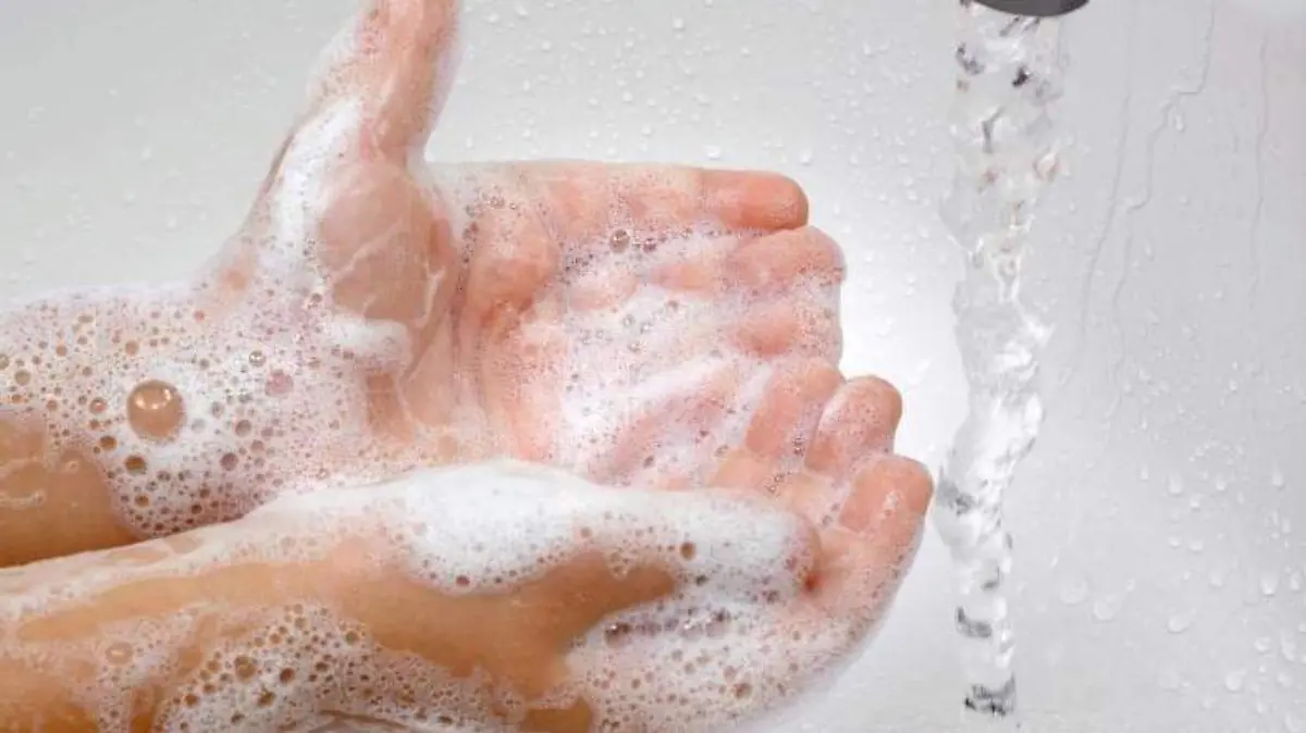 WhatsApp Image 2018-05-30 at 4.12.47 PM