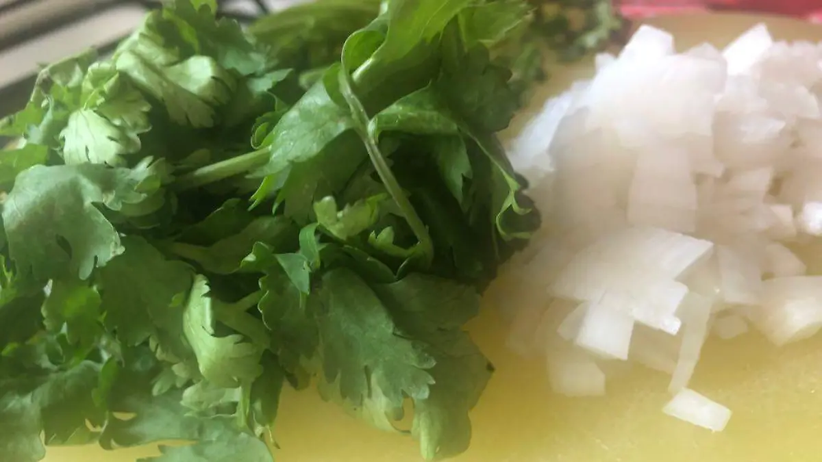 Cebolla y cilantro