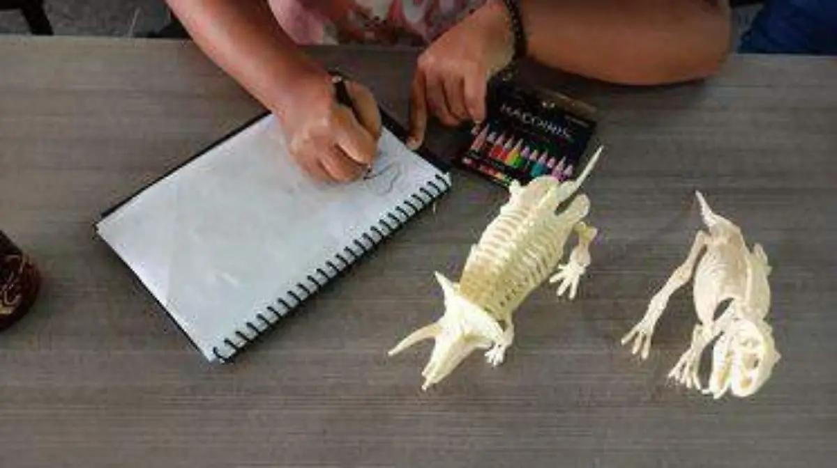 Taller dinosaurios 2