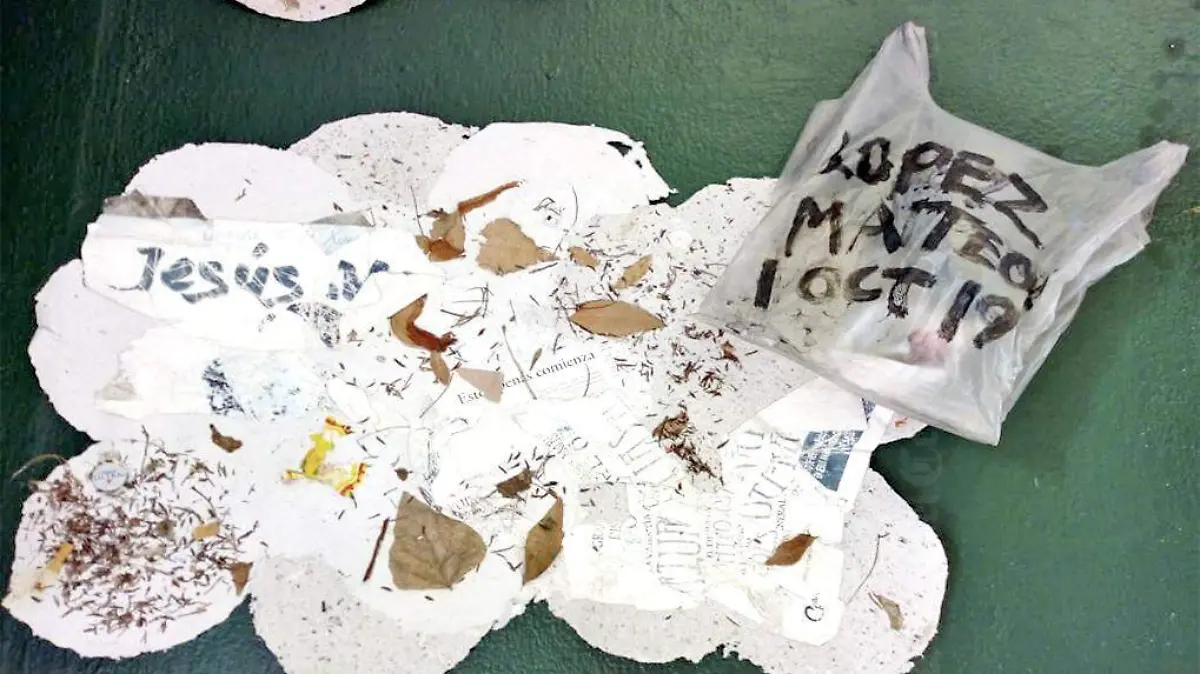 “Árboles en Tránsito” 3