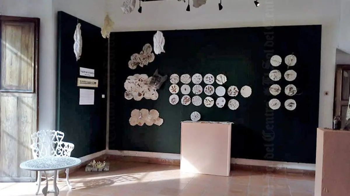 “Árboles en Tránsito” 2