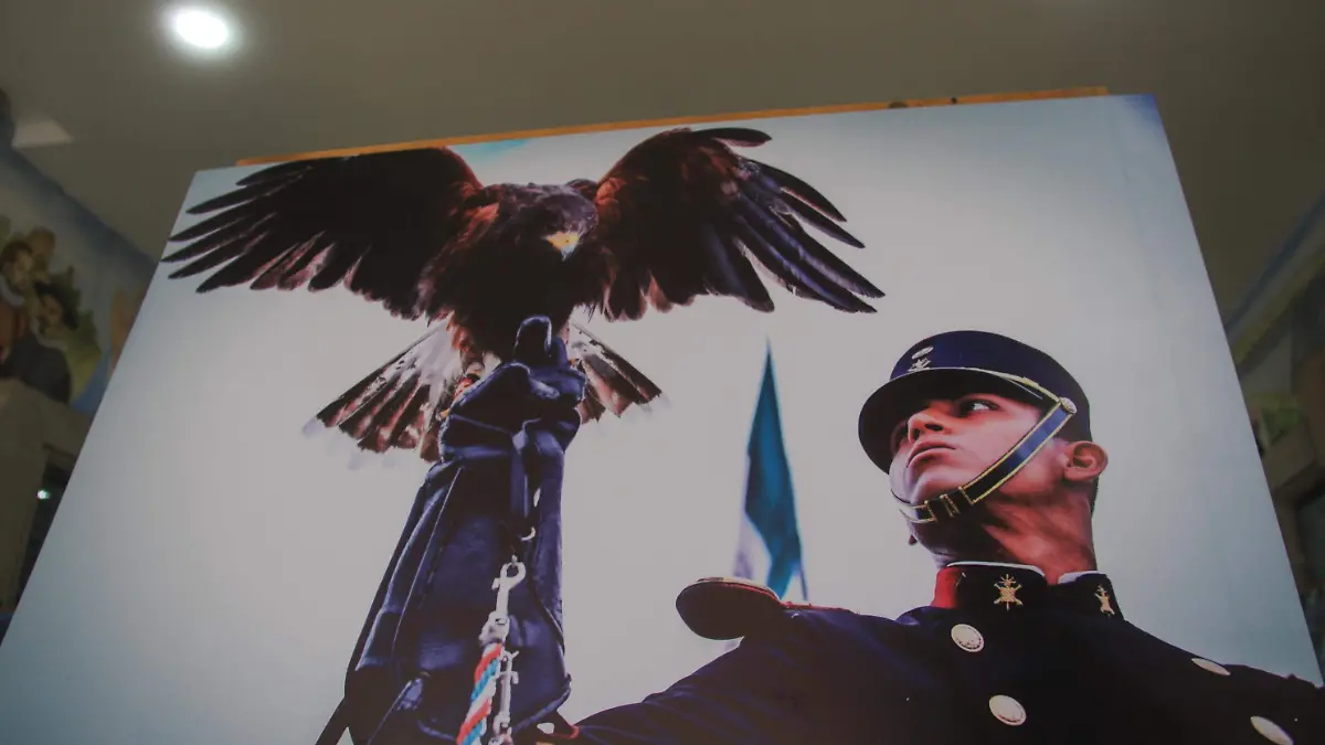 Exposición ejercito