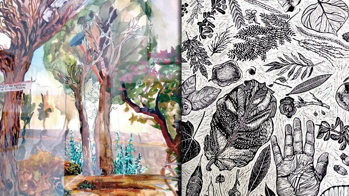 exposicion arboles en transito