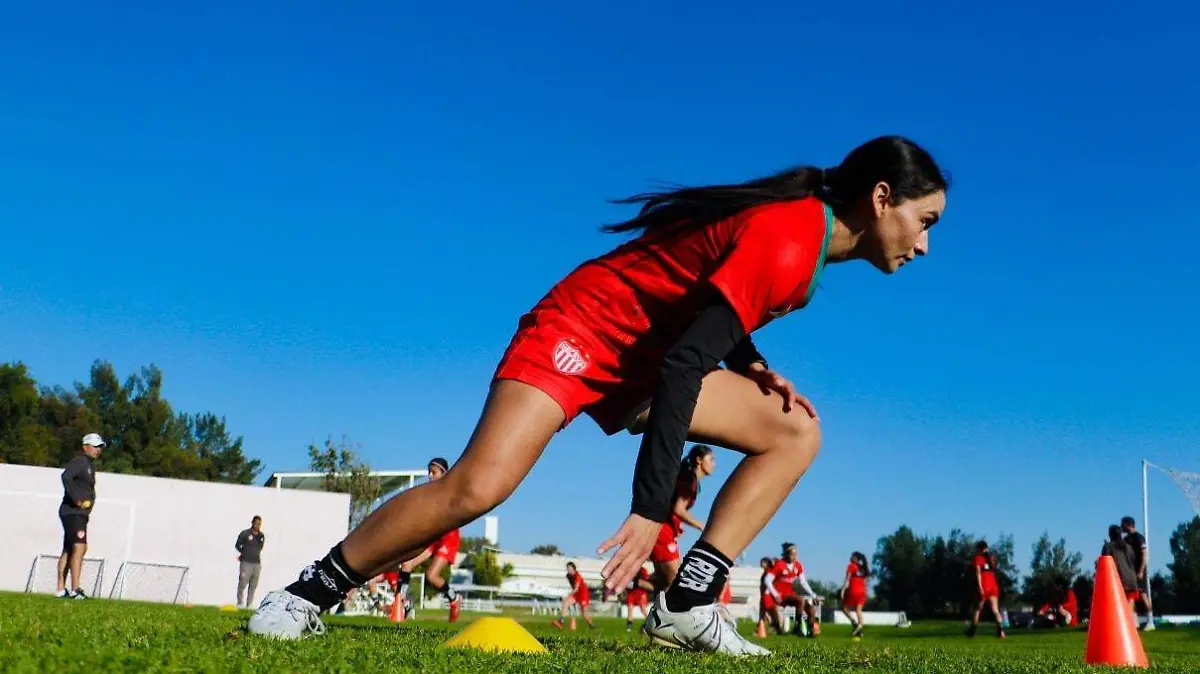 DEP01-IJGR-CENTELLAS-02