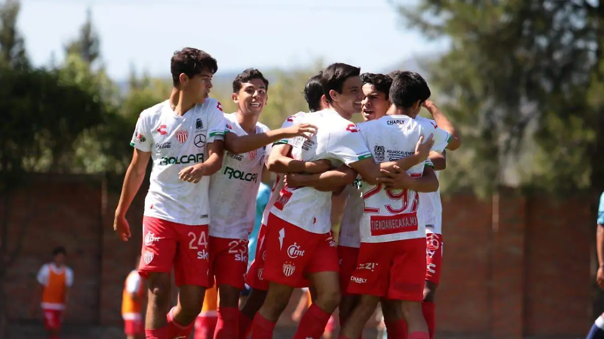 WhatsApp Image 2019-11-03 at 16.29.04