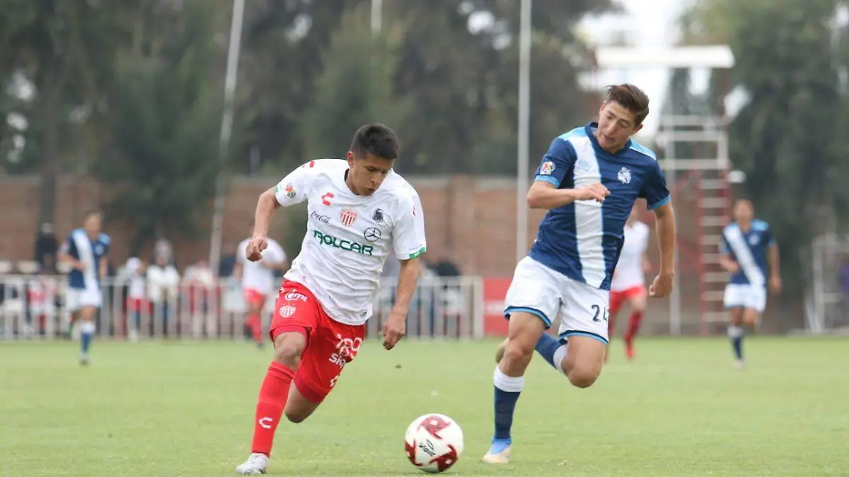 WhatsApp Image 2020-02-03 at 16.14.21