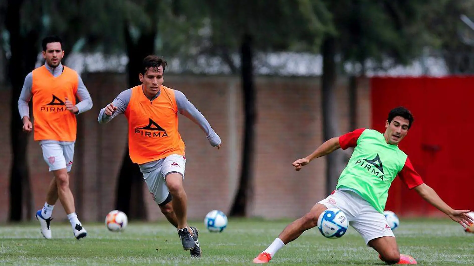 Futbolistas-Necaxa-LigaMX