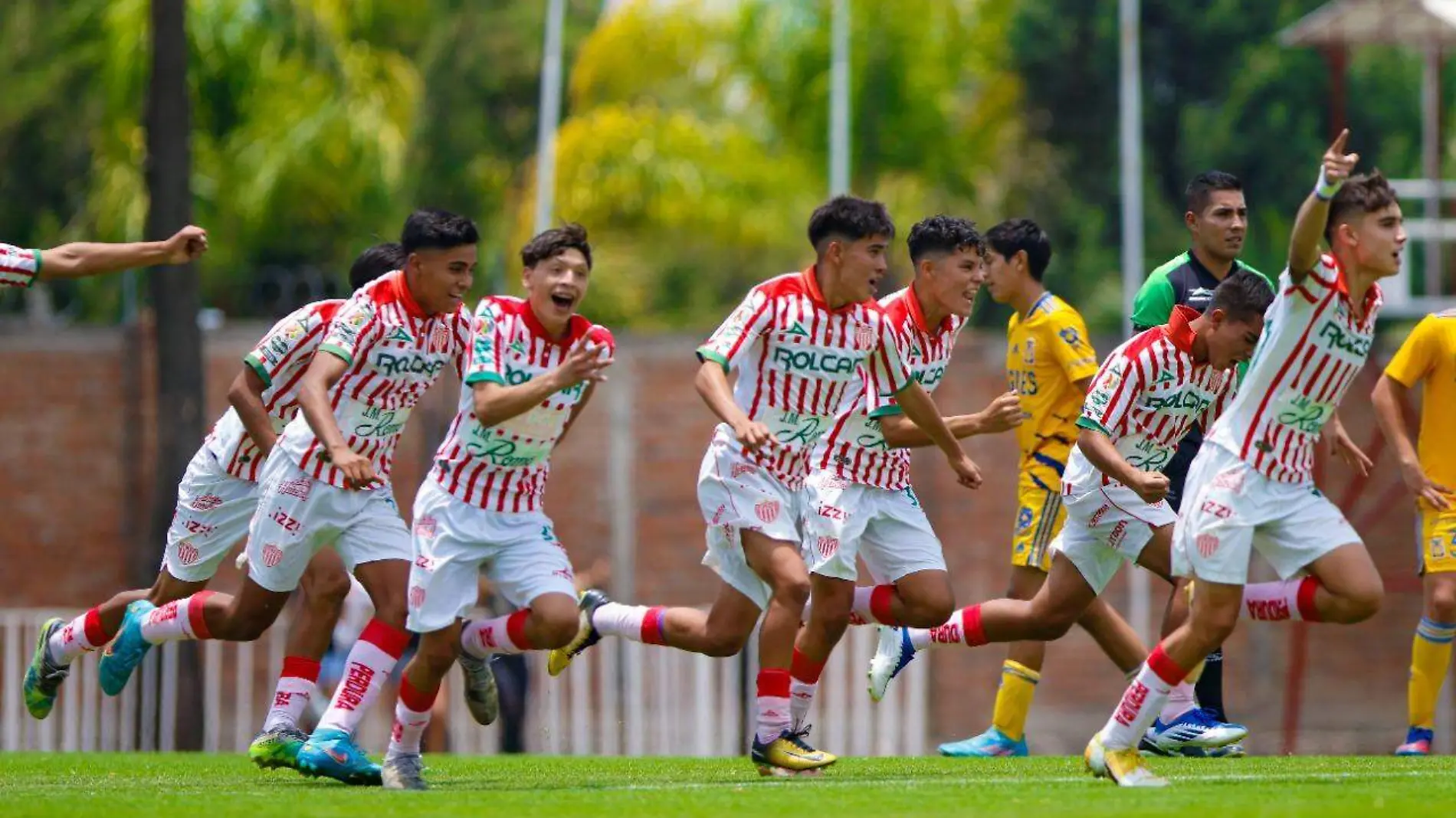 DEP01-IJGR-NECAXA-01