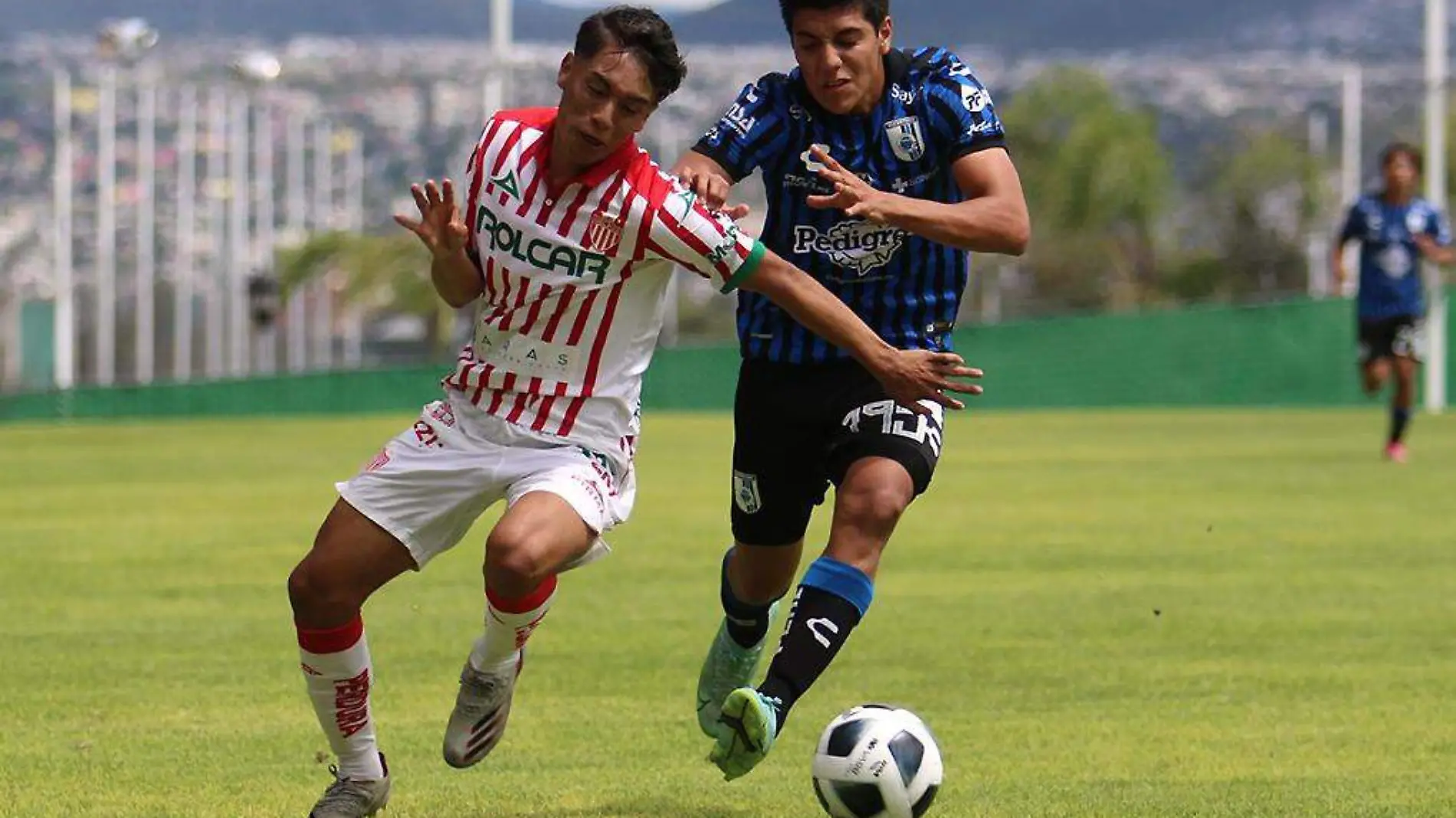 FuerzasBásicas-Necaxa-Querétaro-LigaMX