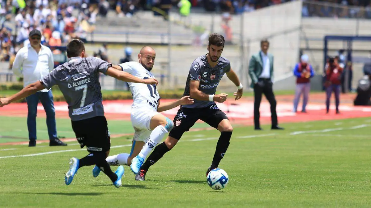 WhatsApp Image 2019-07-28 at 16.49.14