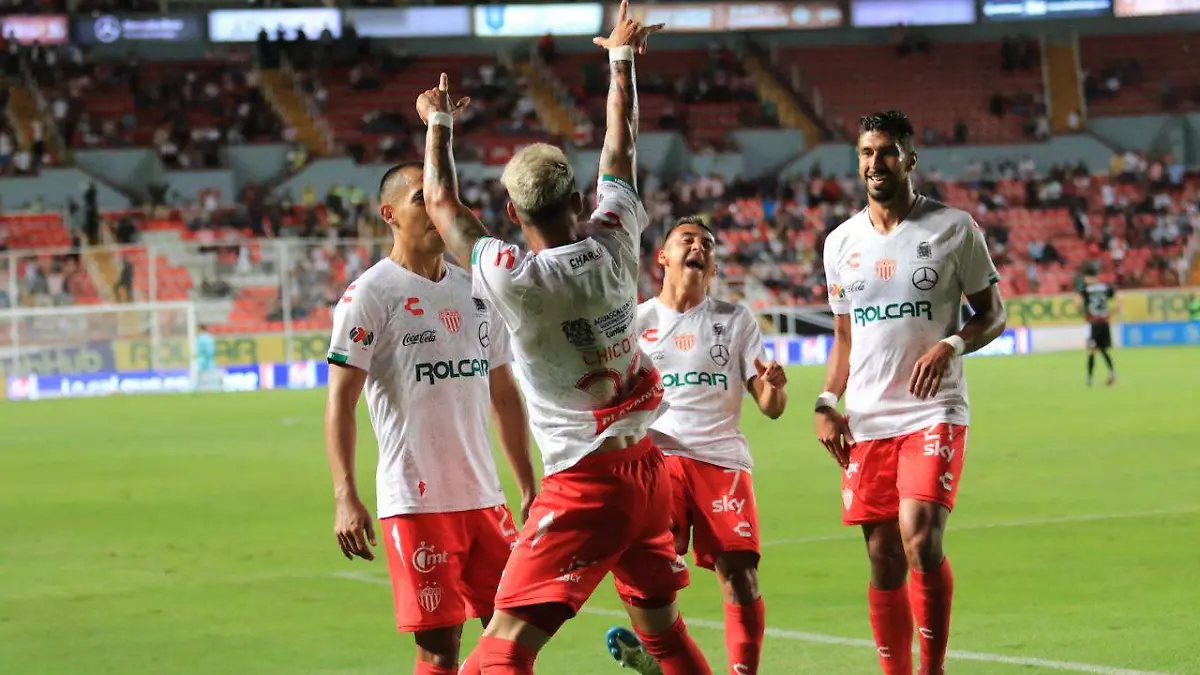 WhatsApp Image 2019-08-12 at 15.02.06