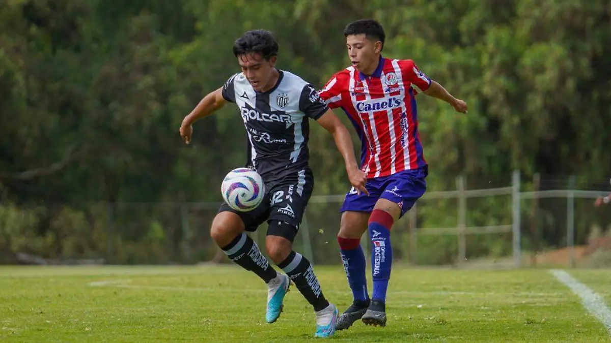 Fuerzas básicas Necaxa