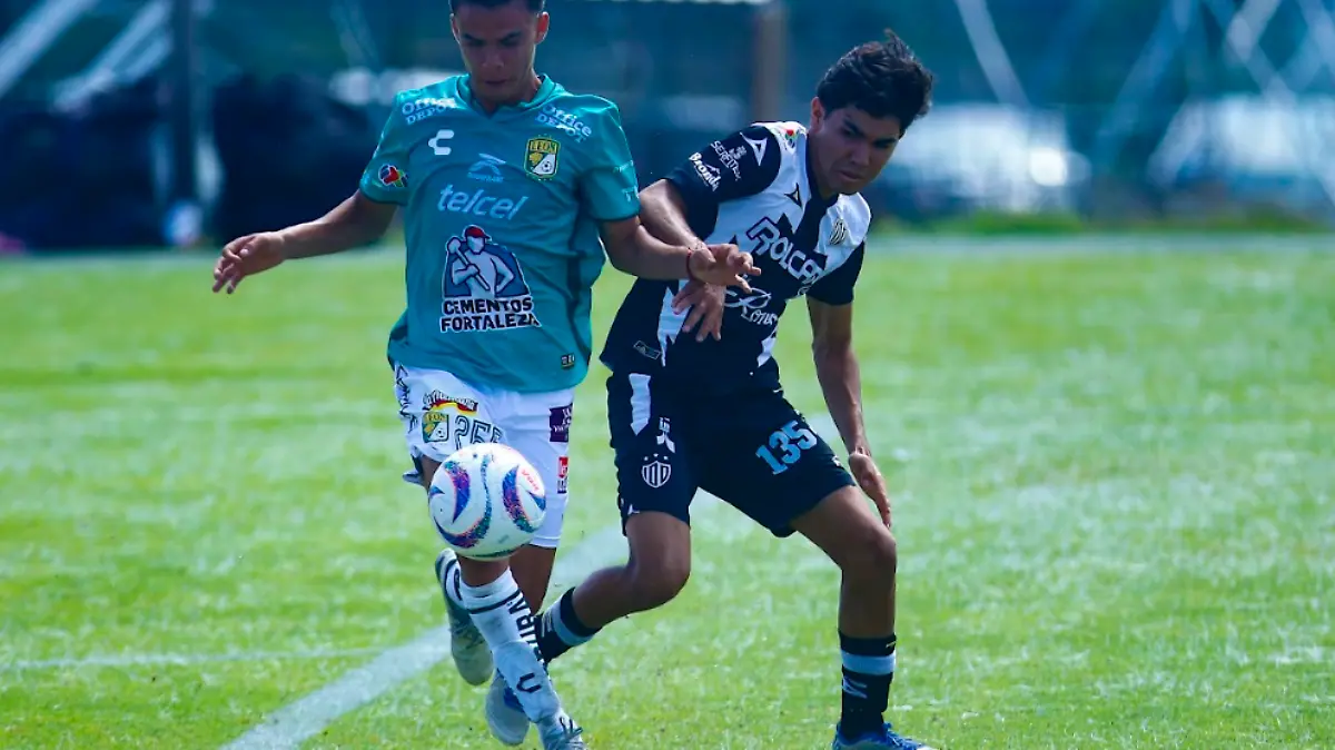 Fuerzas básicas -León 