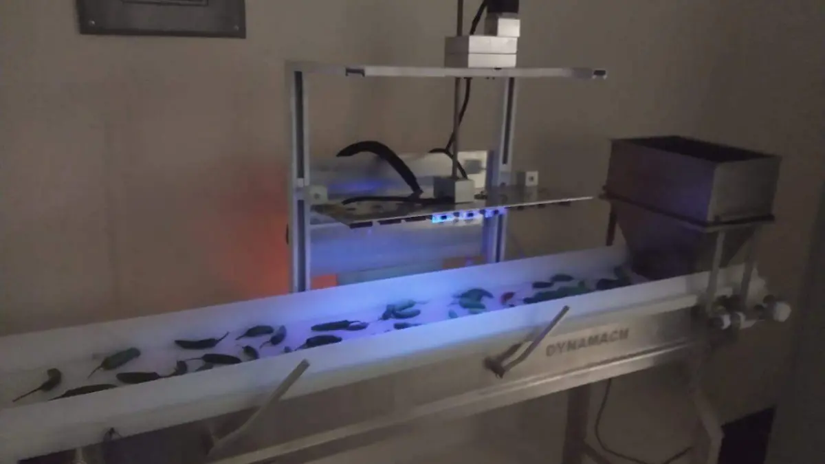 WhatsApp Image 2019-12-06 at 13.34.17