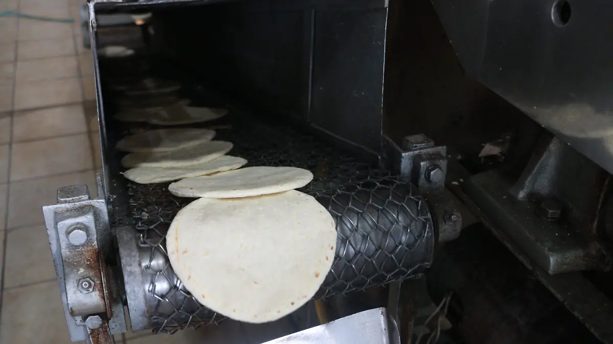 Tortillas 2