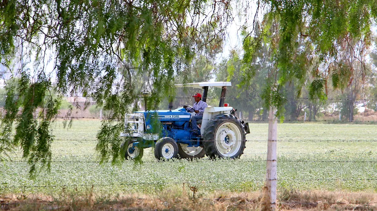 tractor campo