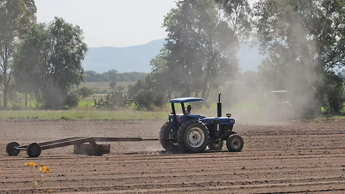 tractor en el campo
